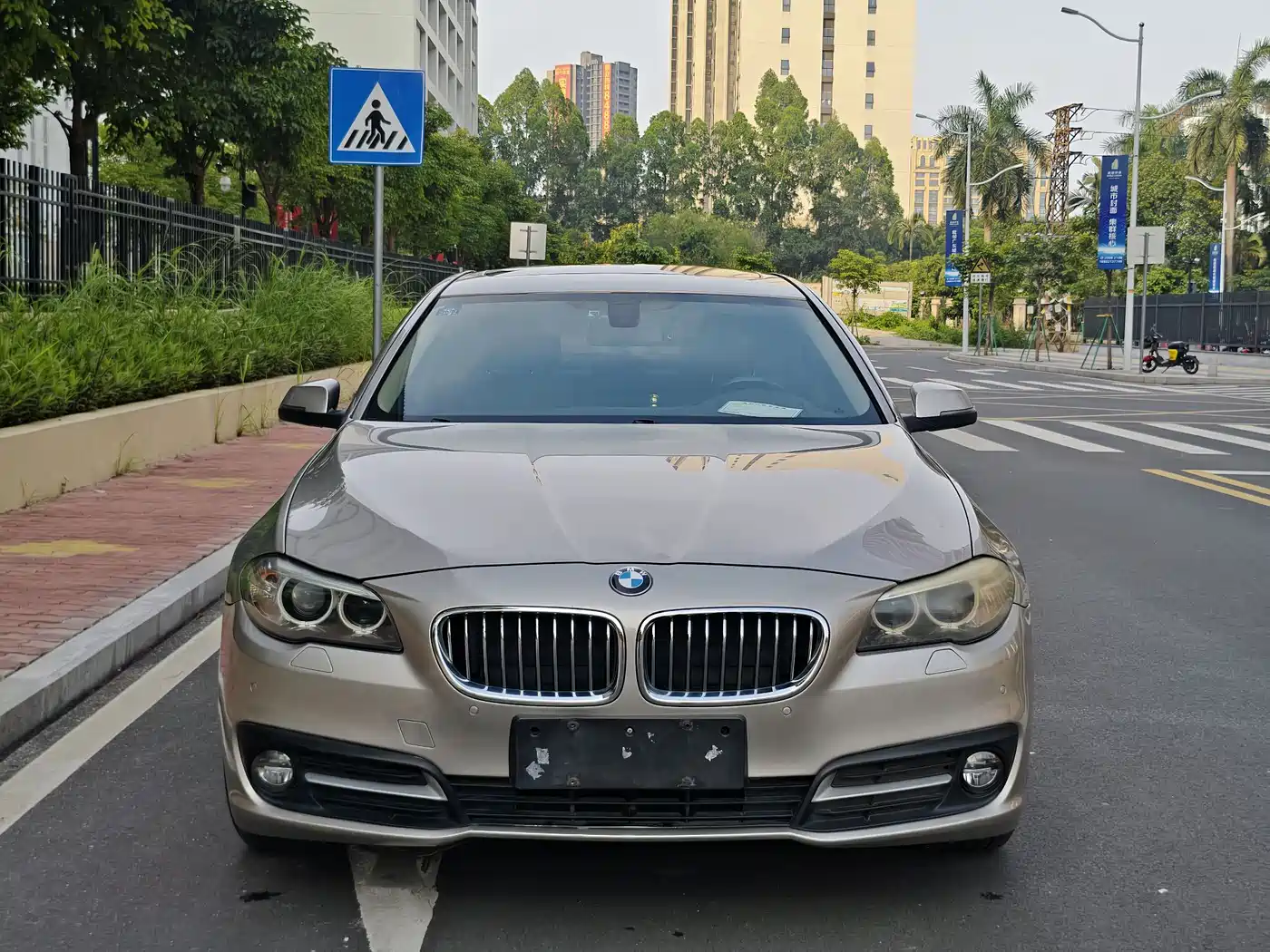 BMW 5 Series 2014 525Li Leading фото 2