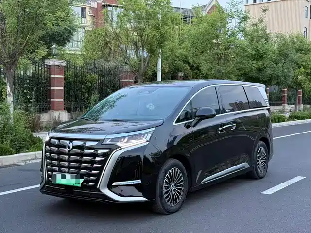 Denza D9 2024 DM-i 980 AWD Premium