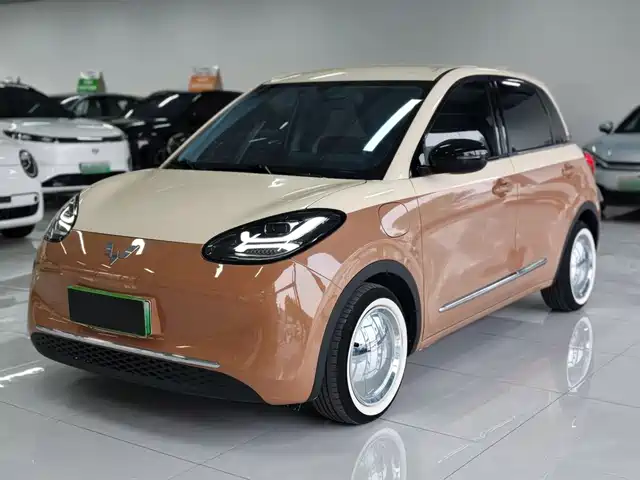  Wuling Motors Wuling Bingo 2024 333km Comfort Edition