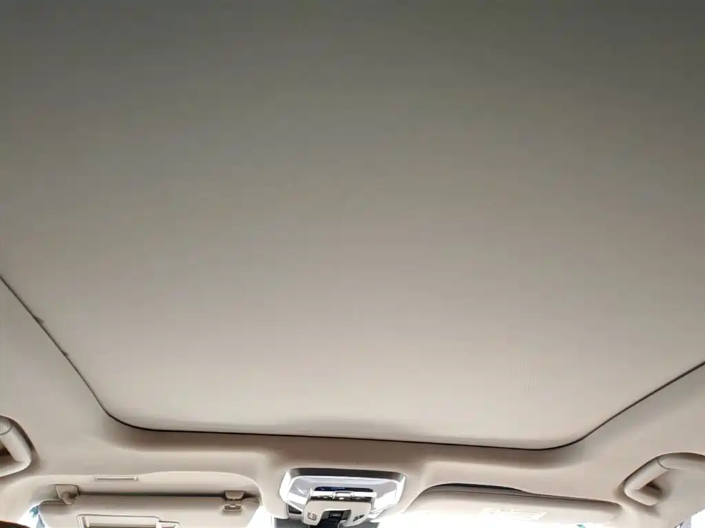 Hongqi H9 2024 2.0T Qi Enjoy Private Fashion Edition фото 25