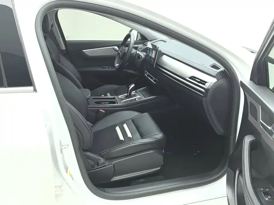BYD Qin Pro 2021 2020 Surpass Edition 1.5TI Automatic Premium