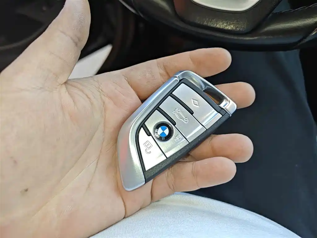 BMW 5 Series New Energy 2020 530Le Range Upgrade Luxury Package фото 9