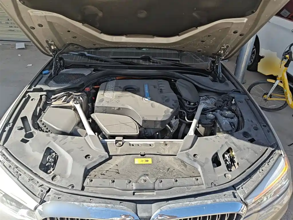 BMW 5 Series New Energy 2020 530Le Range Upgrade Luxury Package фото 20