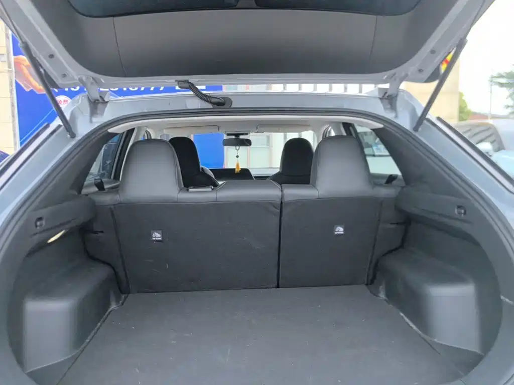 Venucia DaV DD-i 2024 2023 110km iE Edition