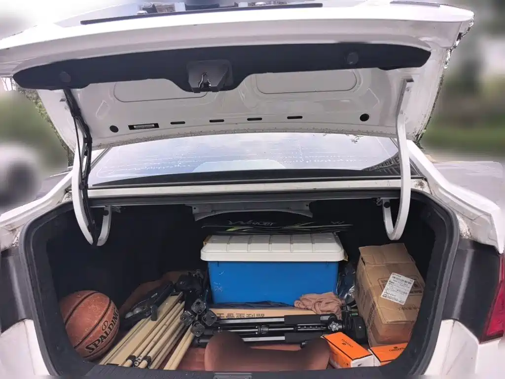 Photo 15 - Changan Eado