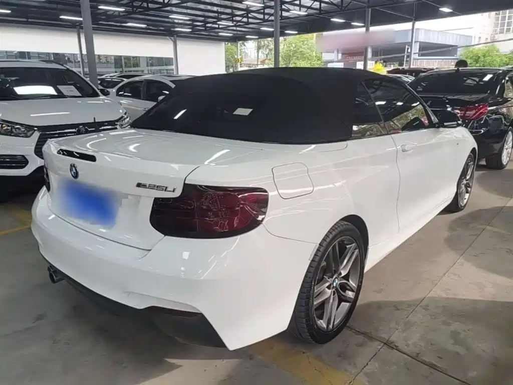 BMW 2 Series (Import) 2018 225i Convertible Coupe M Sport фото 7