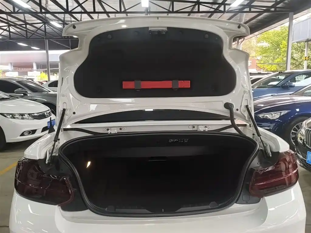 BMW 2 Series (Import) 2018 225i Convertible Coupe M Sport фото 19
