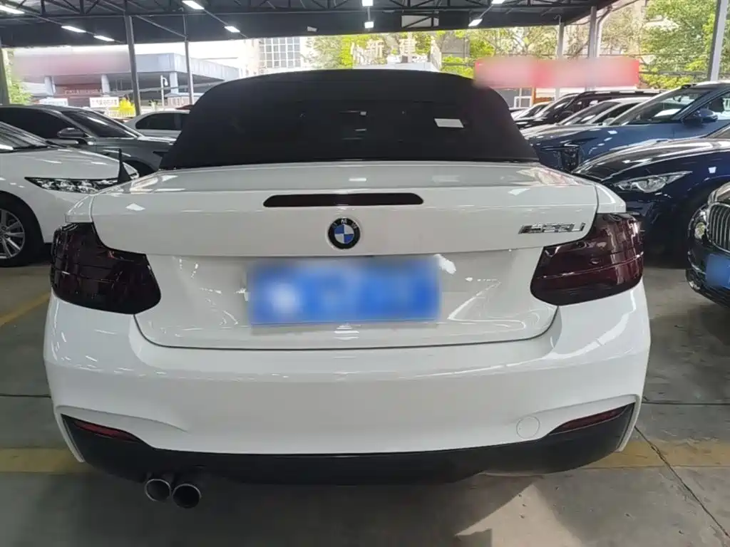BMW 2 Series (Import) 2018 225i Convertible Coupe M Sport фото 6