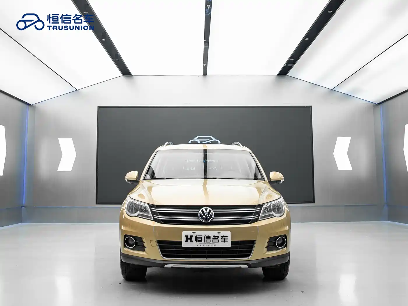 Volkswagen Tiguan 2012 2.0TSI Automatic 4WD Elite Edition фото 2