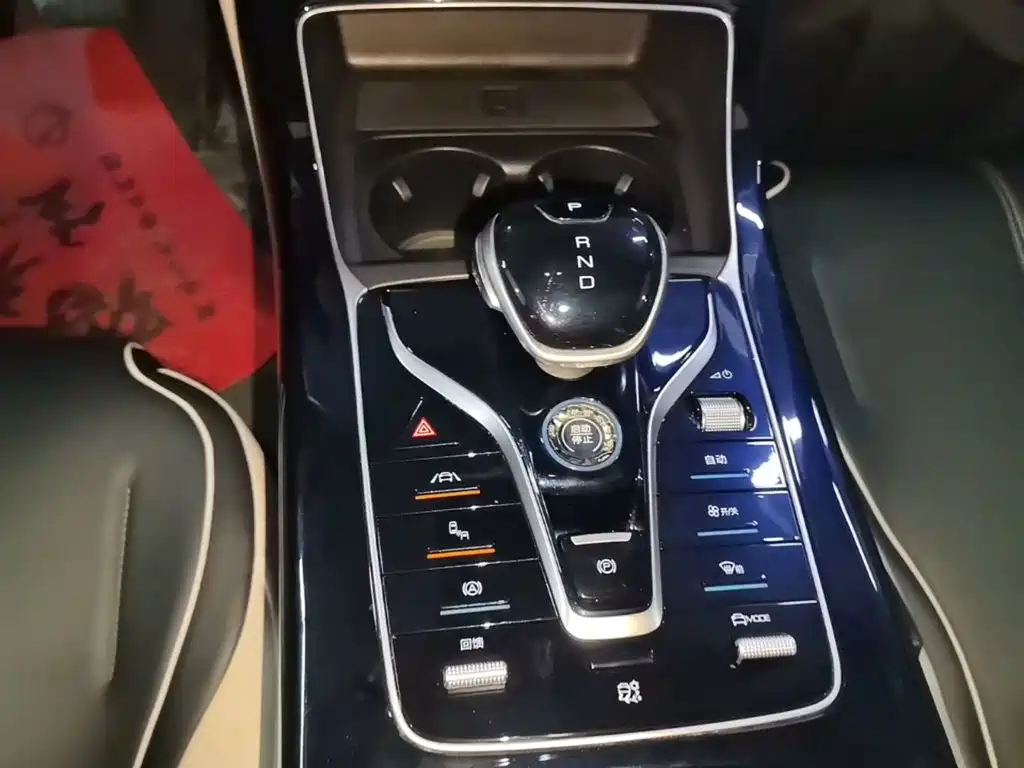 BYD Qin PLUS 2021 2021 Model EV 600KM Flagship