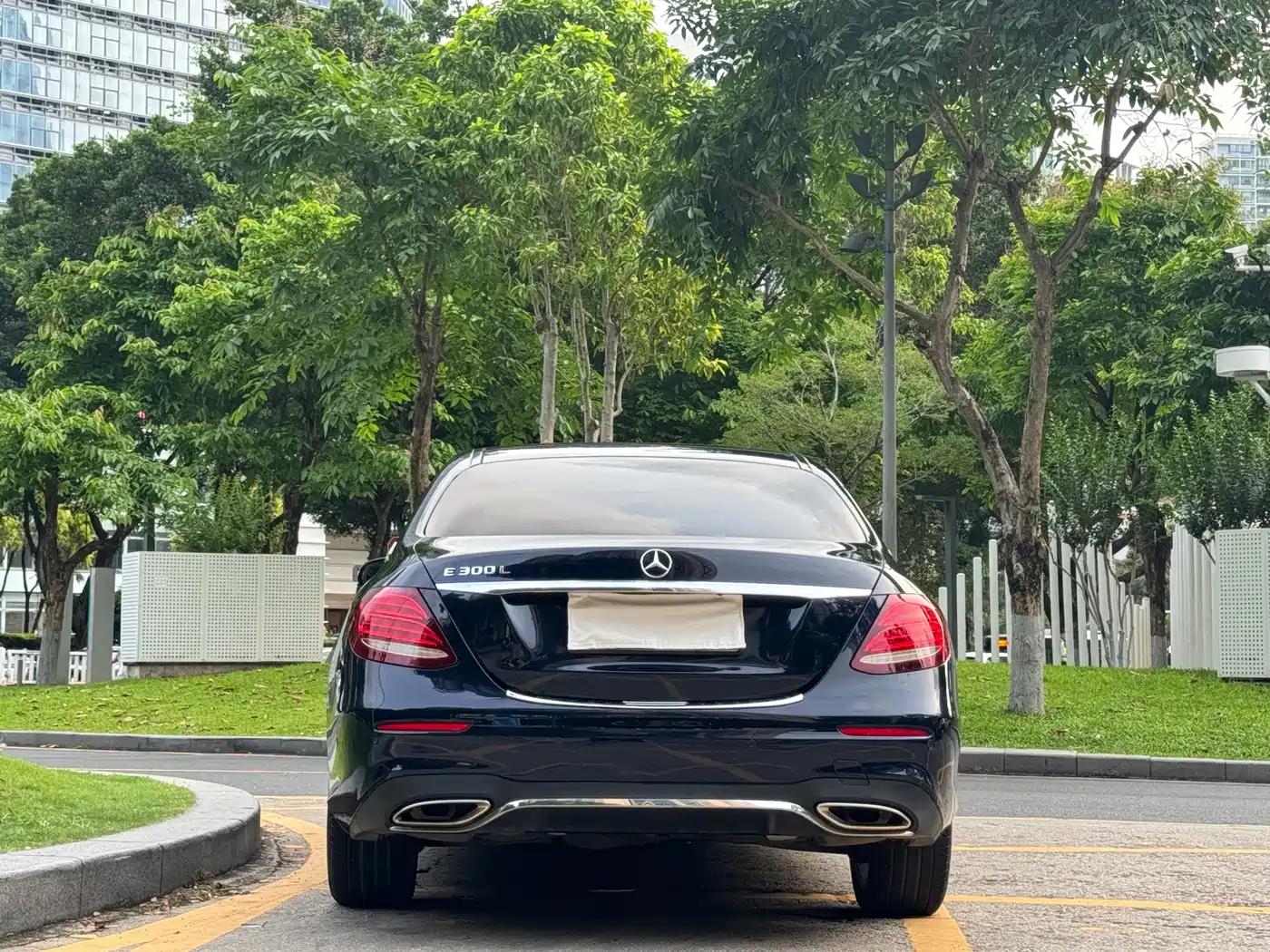 Mercedes-Benz E-Class 2020 E 300 L Sport Luxury Model фото 15
