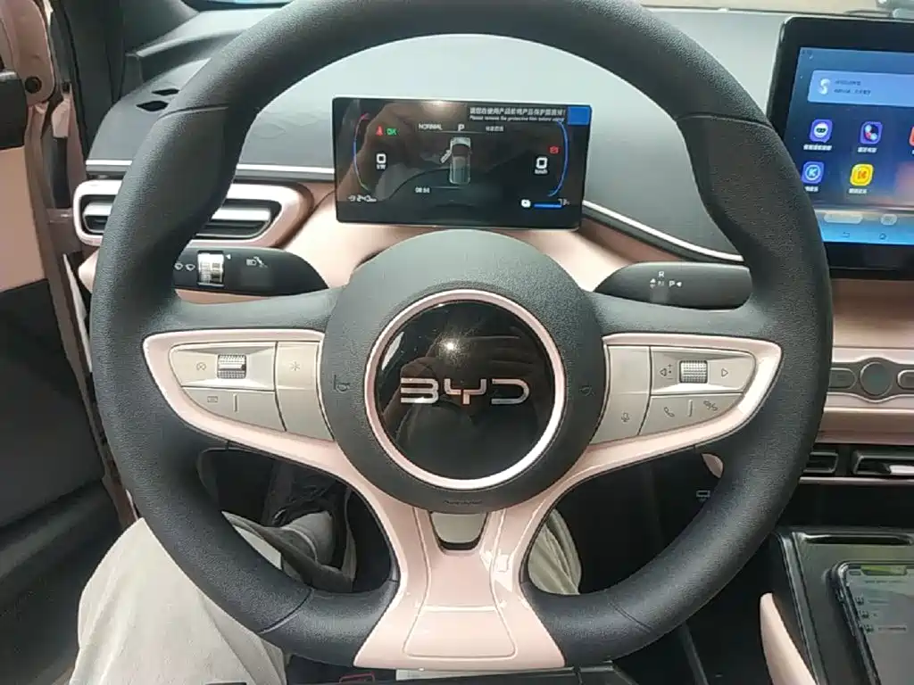 BYD Seagull 2026 2025 Smart Drive Edition 305km Vitality Version
