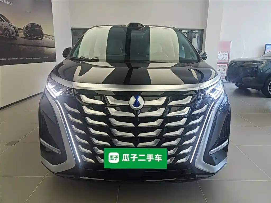 Denza D9 2025 Model DM-i Smart Drive Edition 1020 AWD Flagship фото 3
