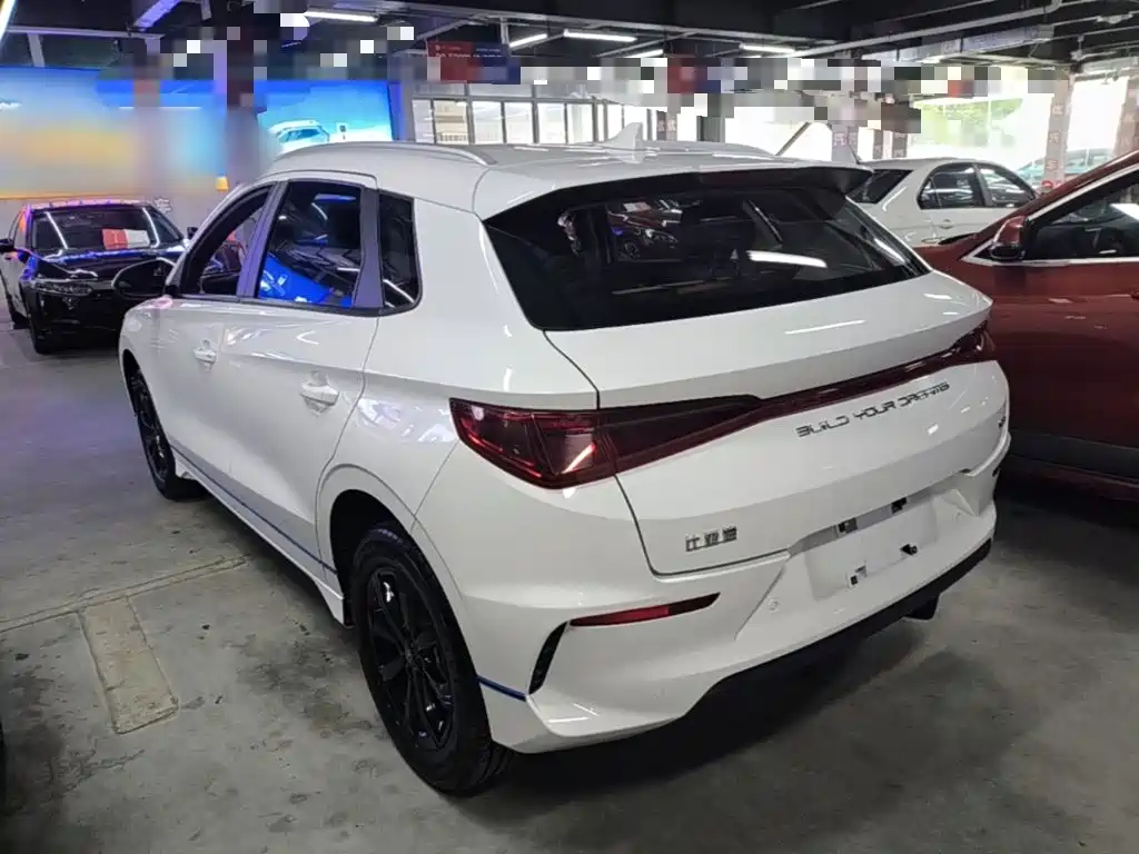 BYD e2 2021 2021 Luxury Edition