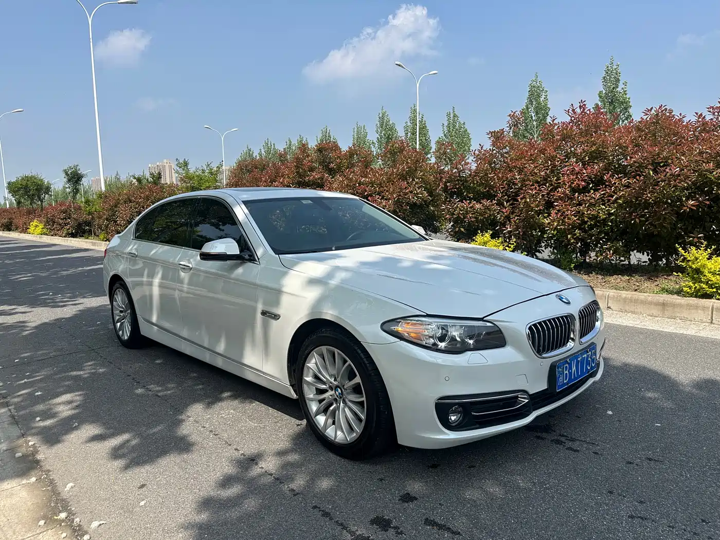 BMW 5 Series 2017 525Li Luxury Design Package фото 3
