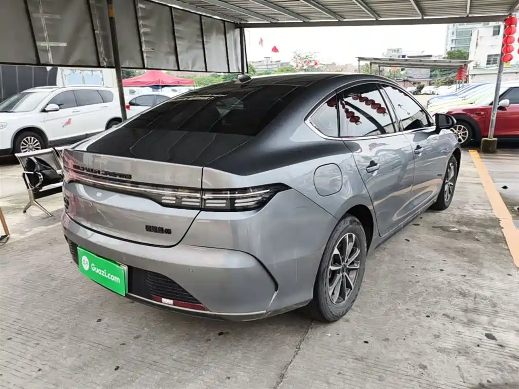 BYD Destroyer 05 2023 Champion Edition DM-i 55KM Luxury фото 7