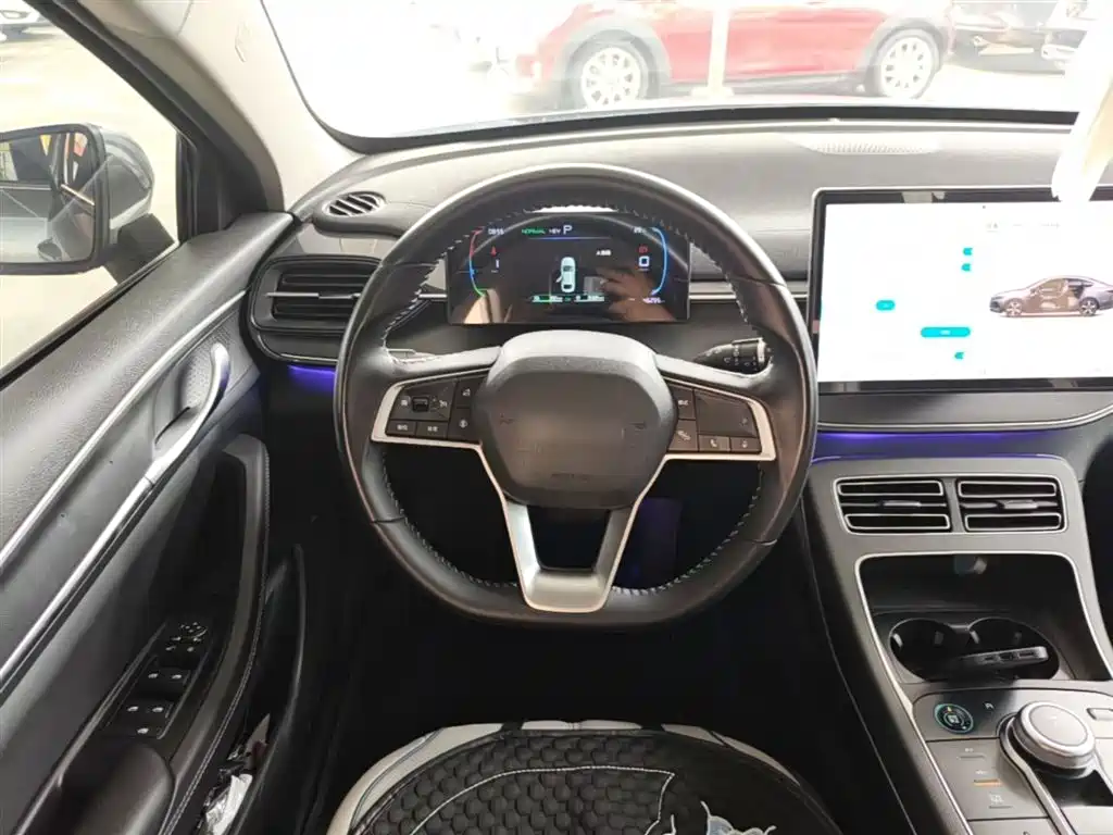 BYD Destroyer 05 2023 Champion Edition DM-i 55KM Luxury фото 11