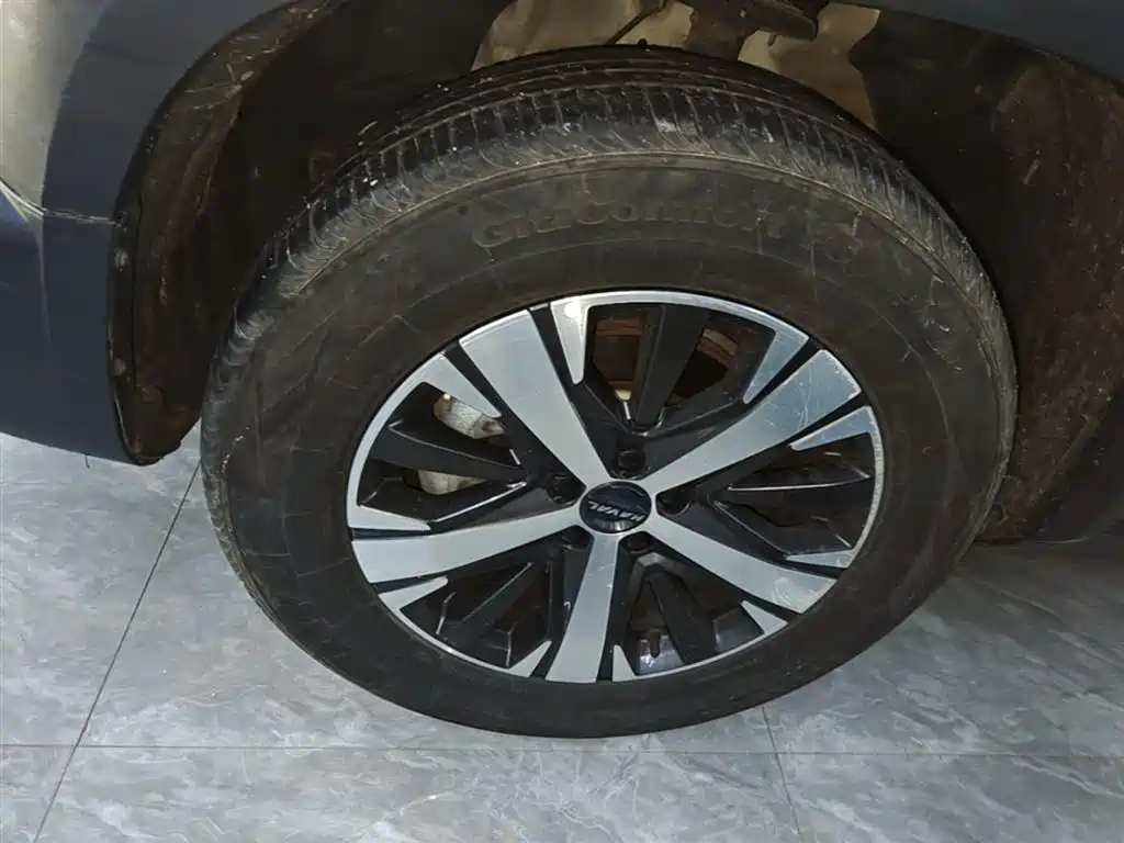 Haval Big Dog 2021 1.5T DCT 2WD Labrador Edition фото 23