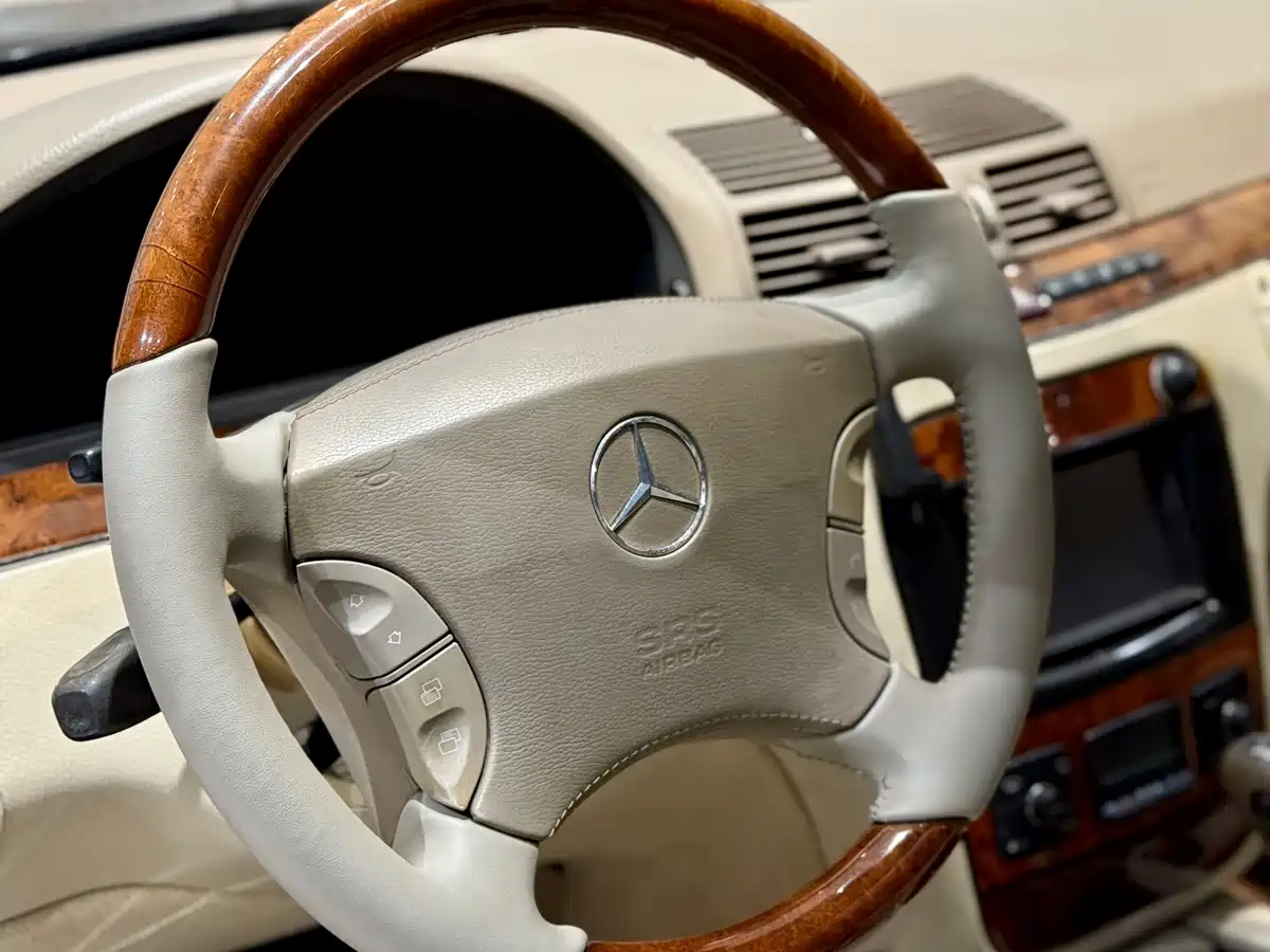 Mercedes-Benz S-Class 2004 S 500 фото 18