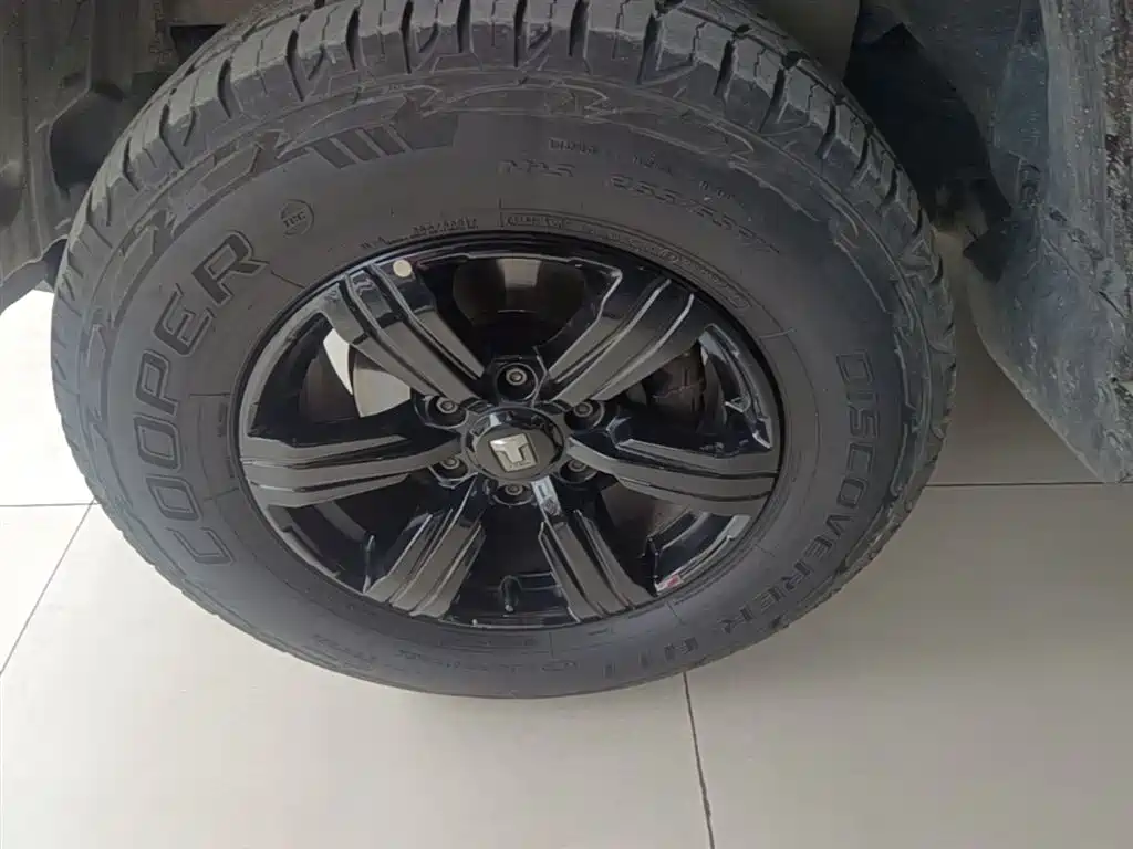 Tank 300 2021 Off-road Edition 2.0T Challenger фото 23