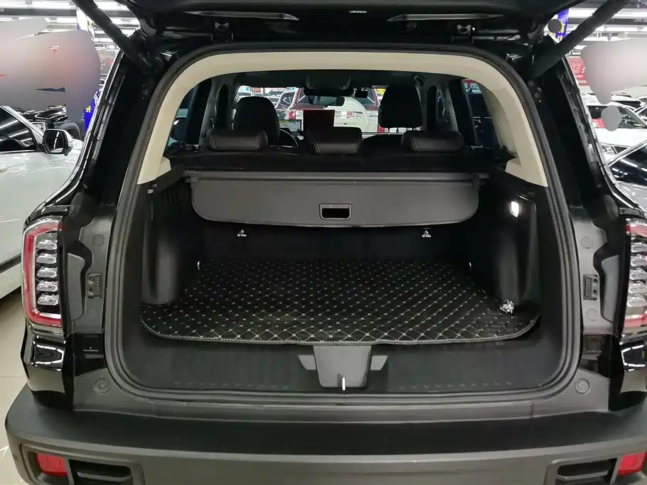 Haval Big Dog 2022 1.5T DCT FWD Border Collie Edition фото 4