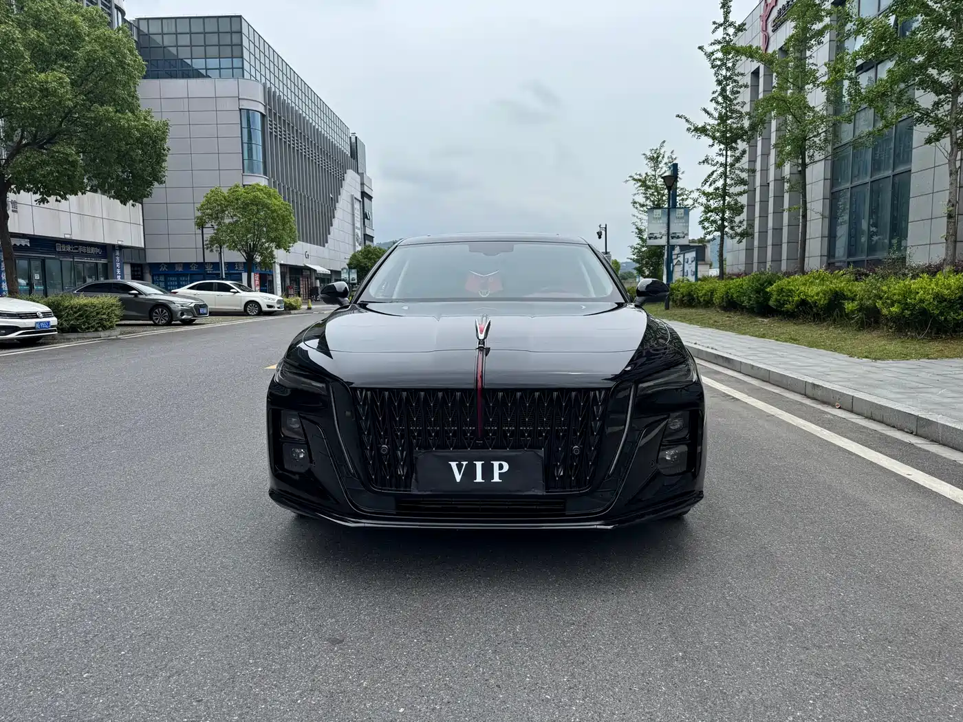 Hongqi H5 2025 1.5T DCT Mystic Shadow фото 3