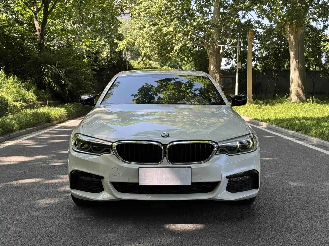 BMW 5 Series 2019 530Li Leading M Sport Package фото 2