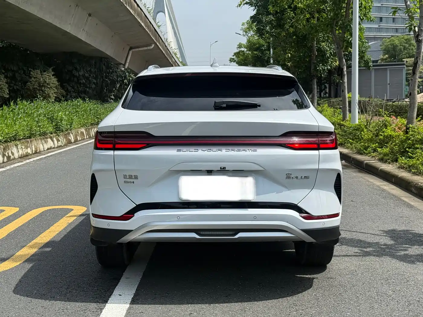 BYD Song PLUS PHEV 2024 Glory Edition DM-i 110km Flagship фото 5