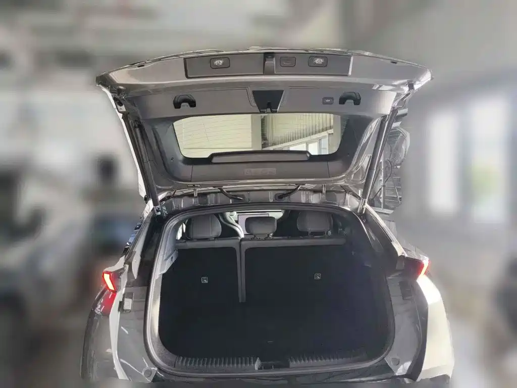Lynk & Co Z20 2025 2025 530km RWD Max