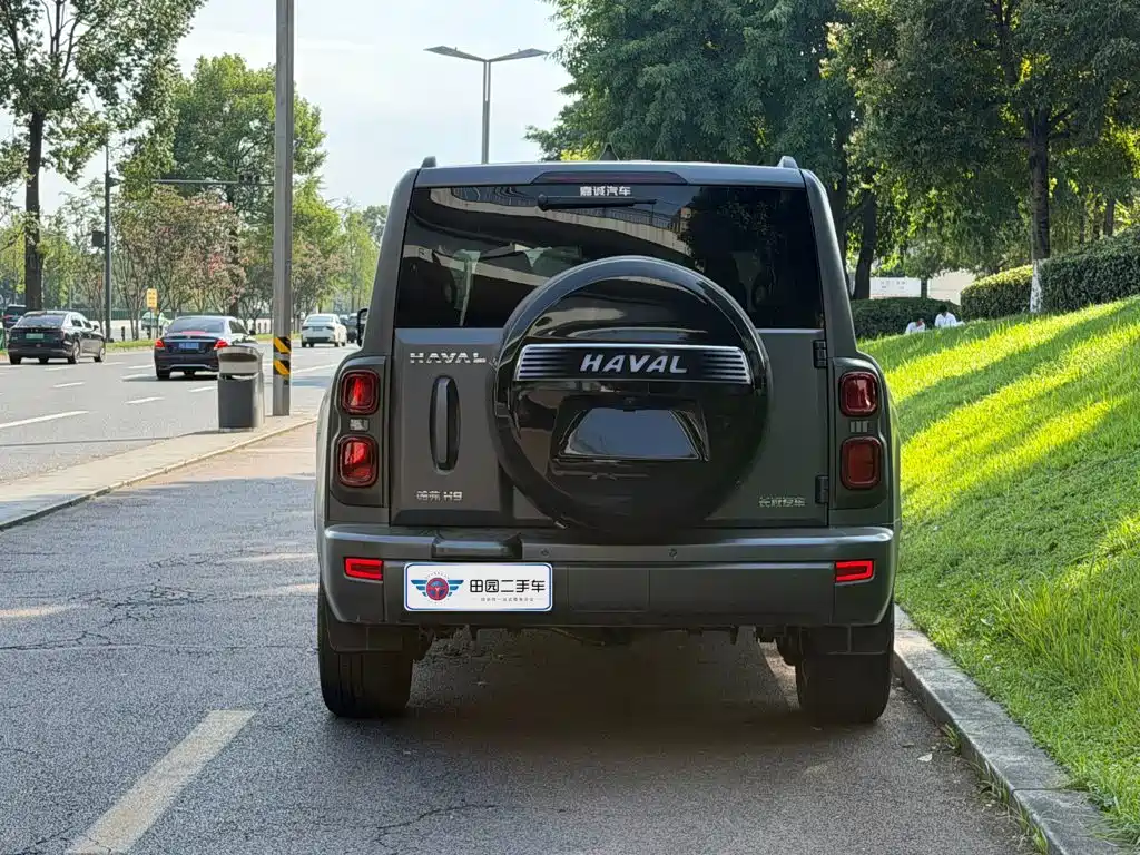 Haval H9 2025 2024 2.0T Gasoline AWD Extreme Edition