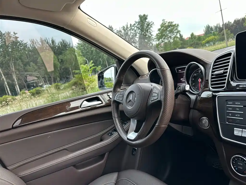 Mercedes-Benz GLS 2019 GLS 400 4MATIC Dynamic Collector's Edition фото 17