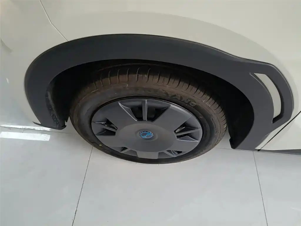 BYD Seagull 2025 Smart Drive Edition 305km Vitality Version фото 23