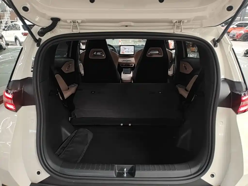 BYD Seagull 2026 2025 Smart Drive Edition 305km Vitality Version