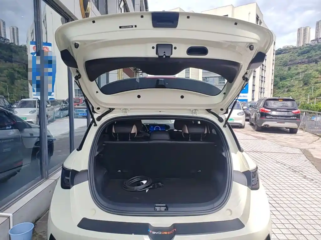BYD Dolphin 2025 2025 Smart Drive Edition 420km Freedom Version