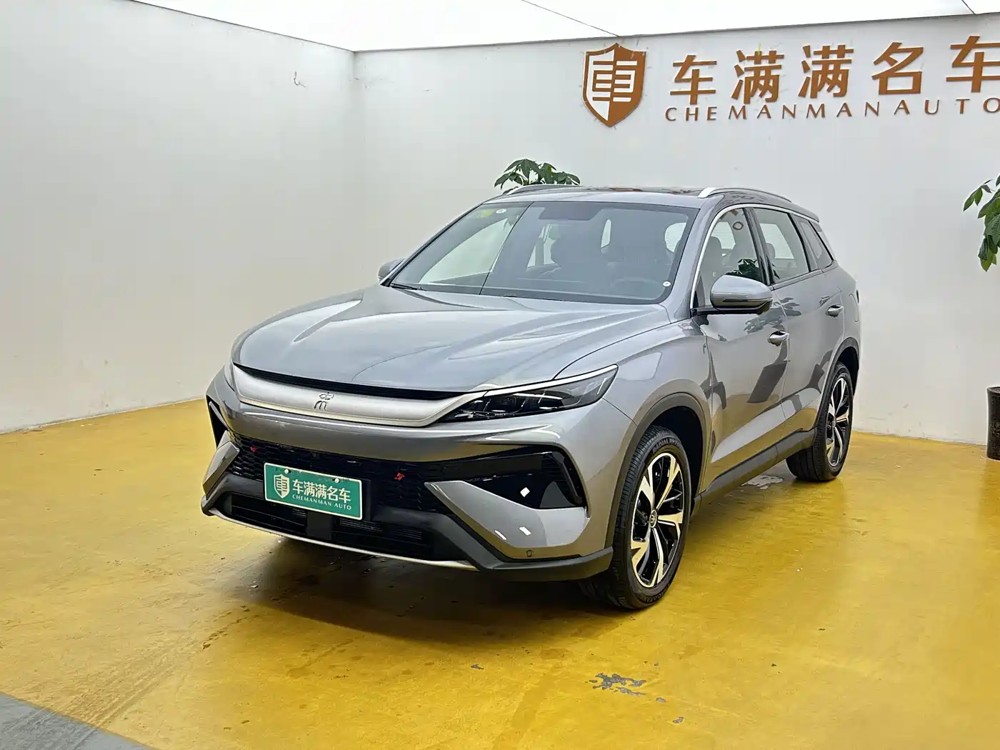 BYD Song Pro New Energy