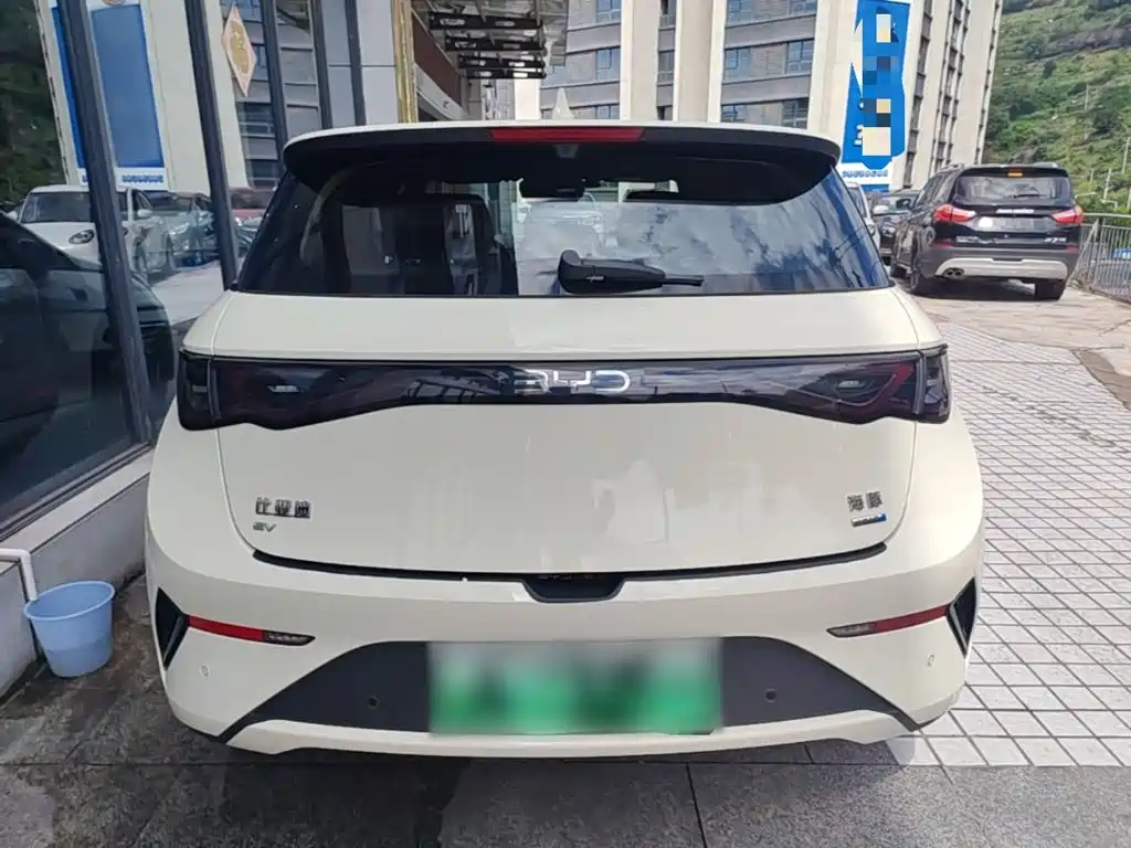 BYD Dolphin 2025 2025 Smart Drive Edition 420km Freedom Version
