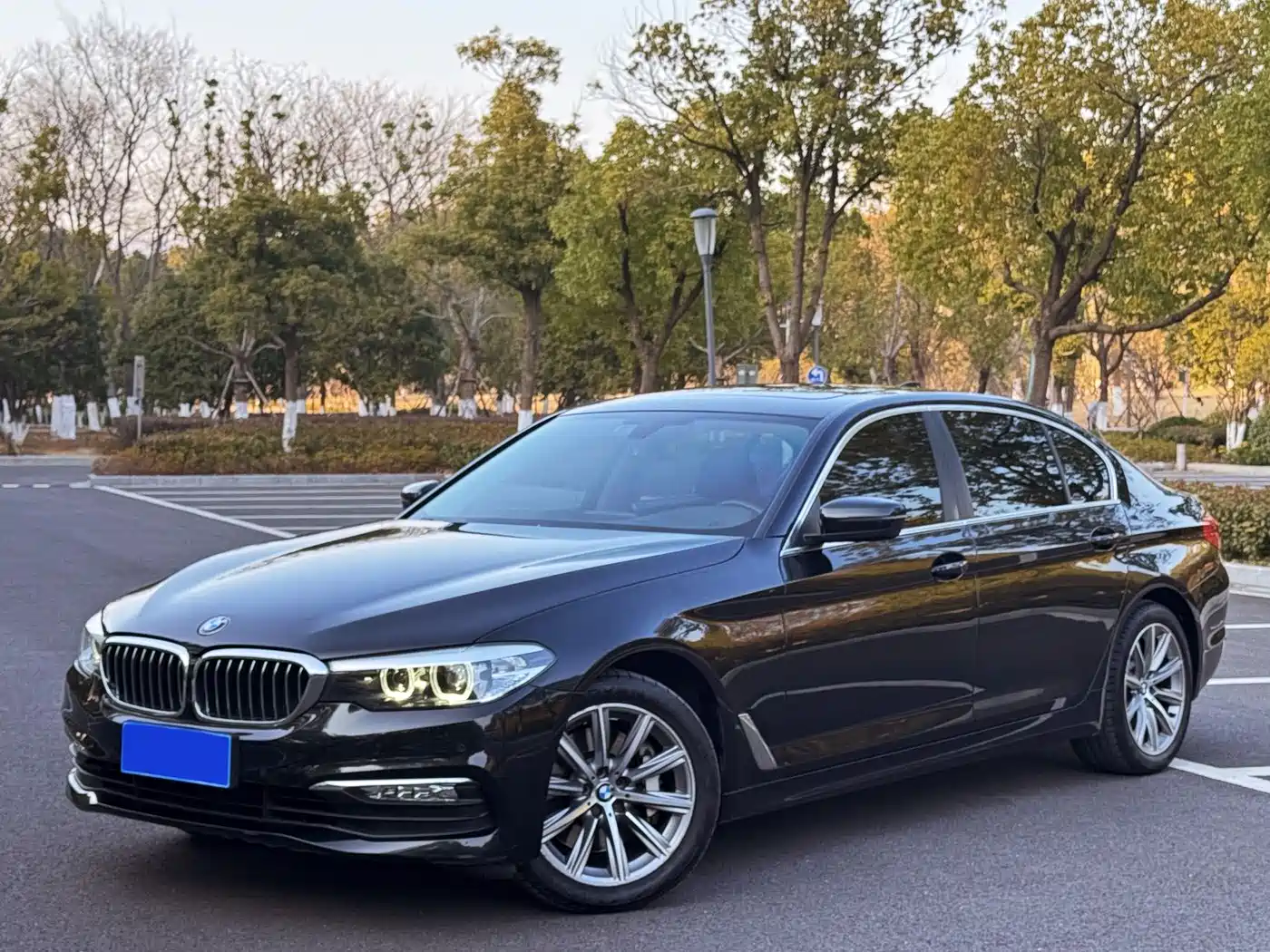 BMW 5 Series 2018 528Li Launch Special Edition