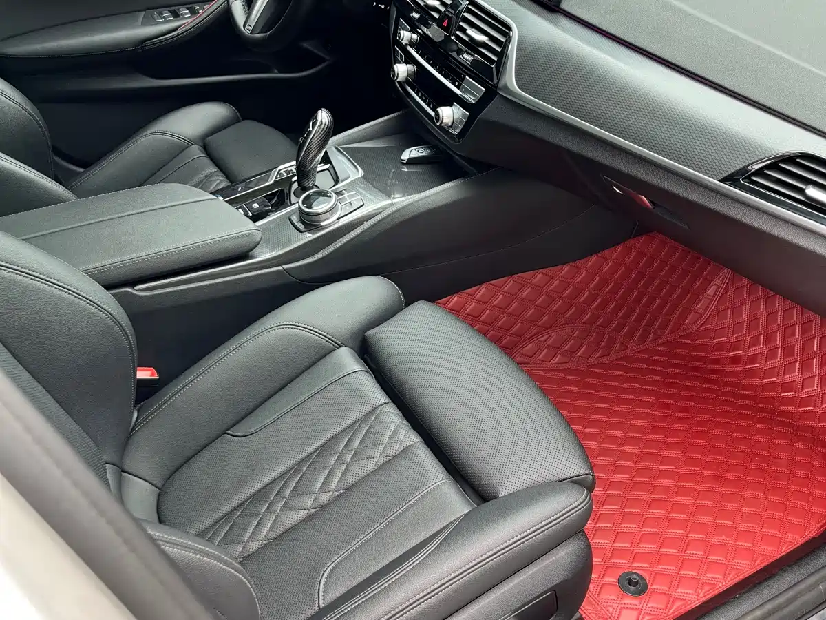BMW 5 Series (Import) 2021 525i M Sport Package фото 7