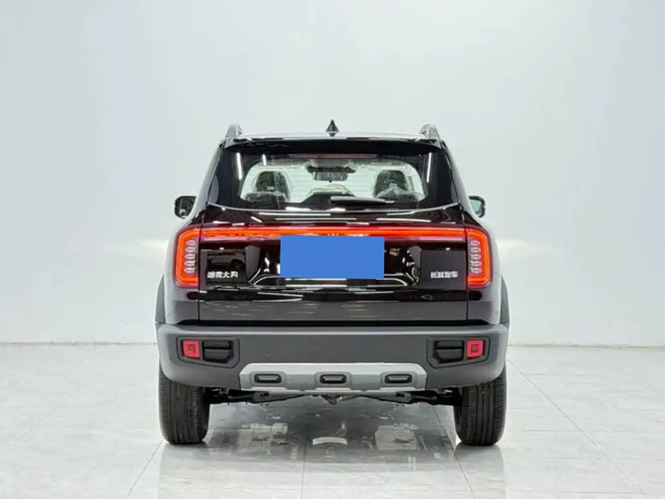 Haval Big Dog 2026 Model 1.5T High Configuration фото 3