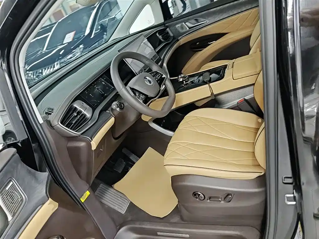 Denza D9 2024 DM-i 980 AWD Premium фото 15