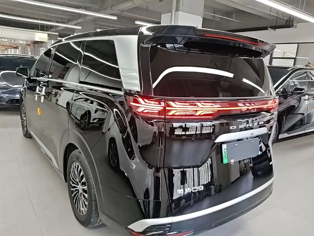 Denza D9 2024 DM-i 980 AWD Premium фото 5