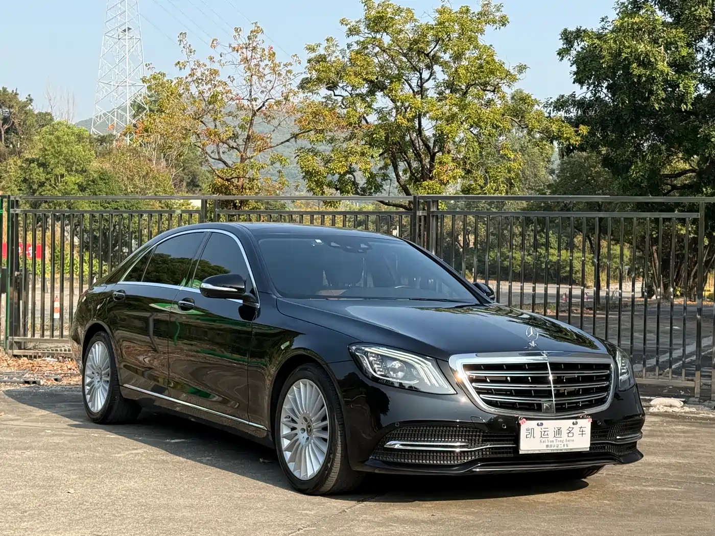 Mercedes-Benz S-Class 2020 S 350 L Business Edition Collector's Version фото 2