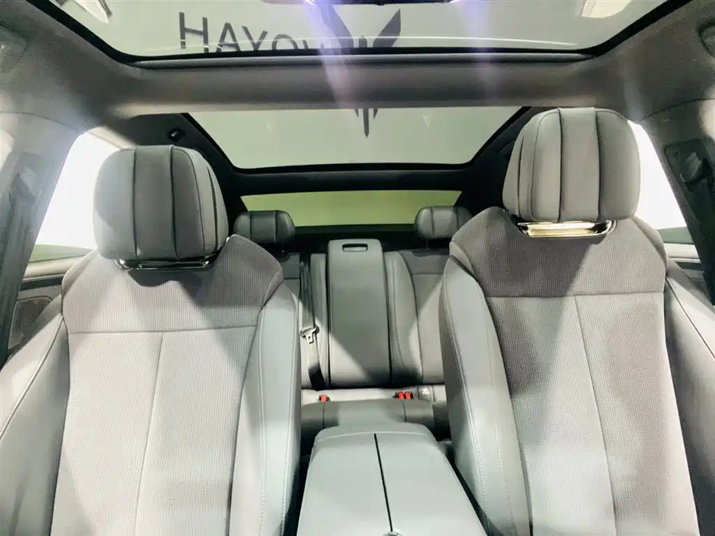 Voyah Auto VOYAH Zhuiguang 2024 PHEV AWD Ultra-long Range Executive Edition фото 19