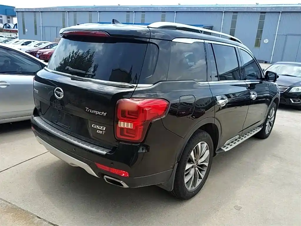 GAC Trumpchi Trumpchi GS8 2017 320T 2WD Luxury Smart Connect (7-seater) фото 7