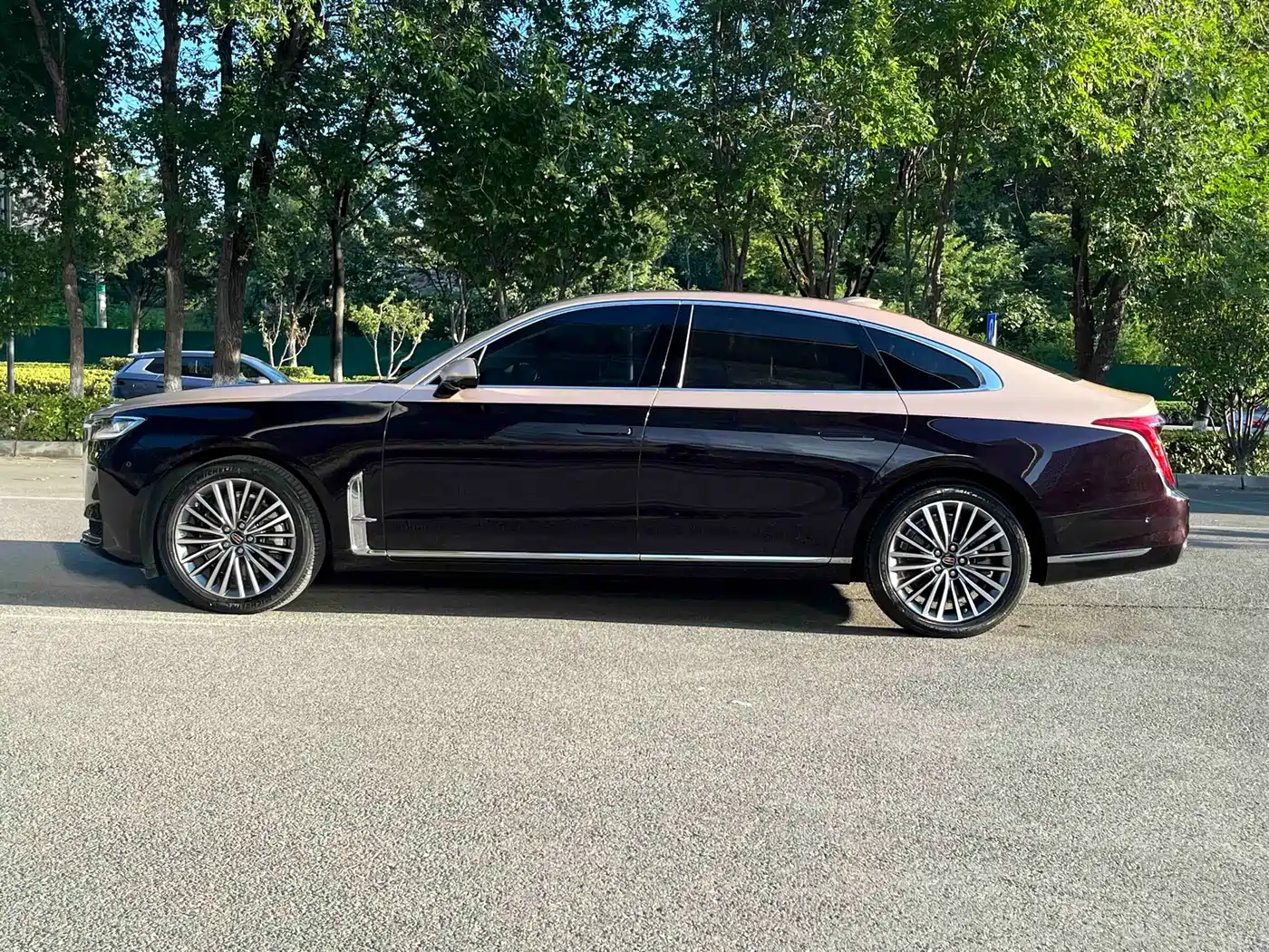 Hongqi H9, миниатюра 3