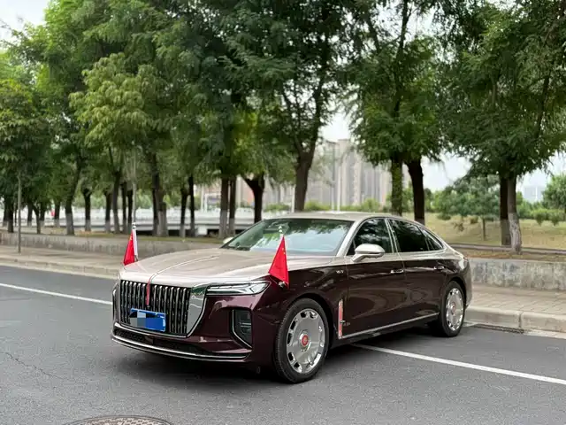  Hongqi Hongqi H9 2025 2.0T 2WD Qixiang Luxury Business Edition 5-seater