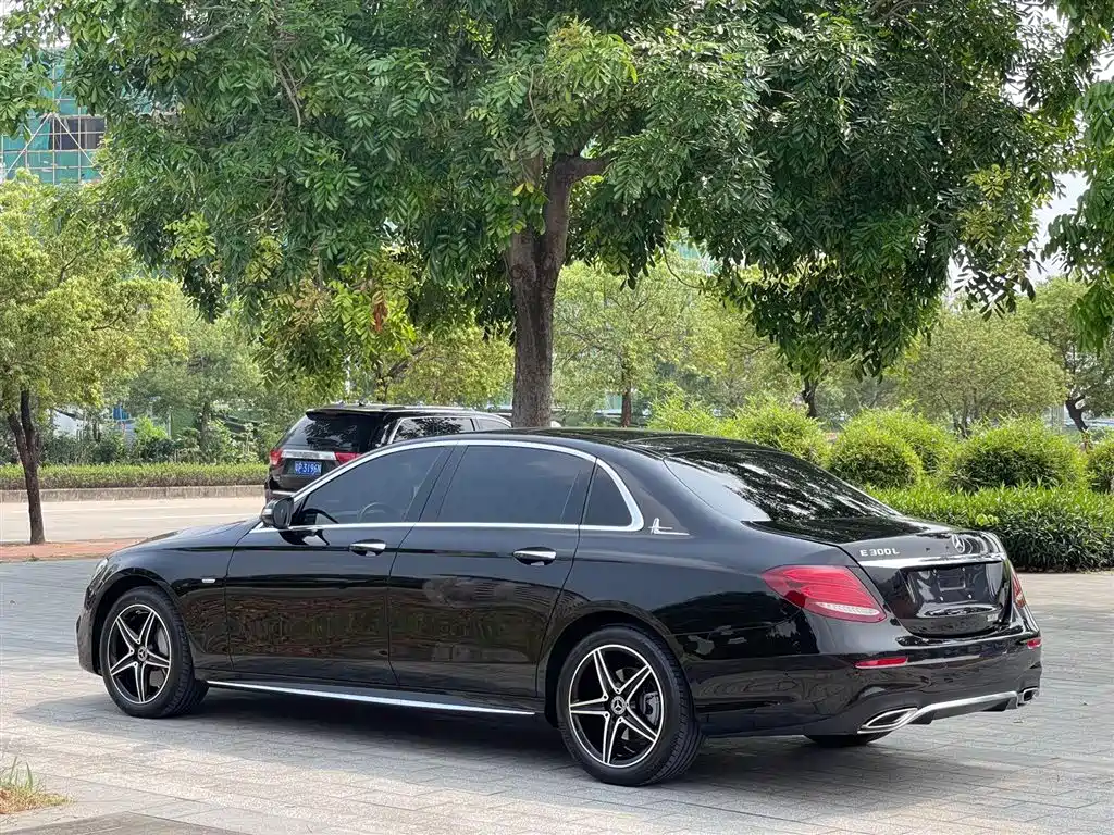 Mercedes-Benz E-Class 2020 Facelift E 300 L Sport Exclusive фото 9