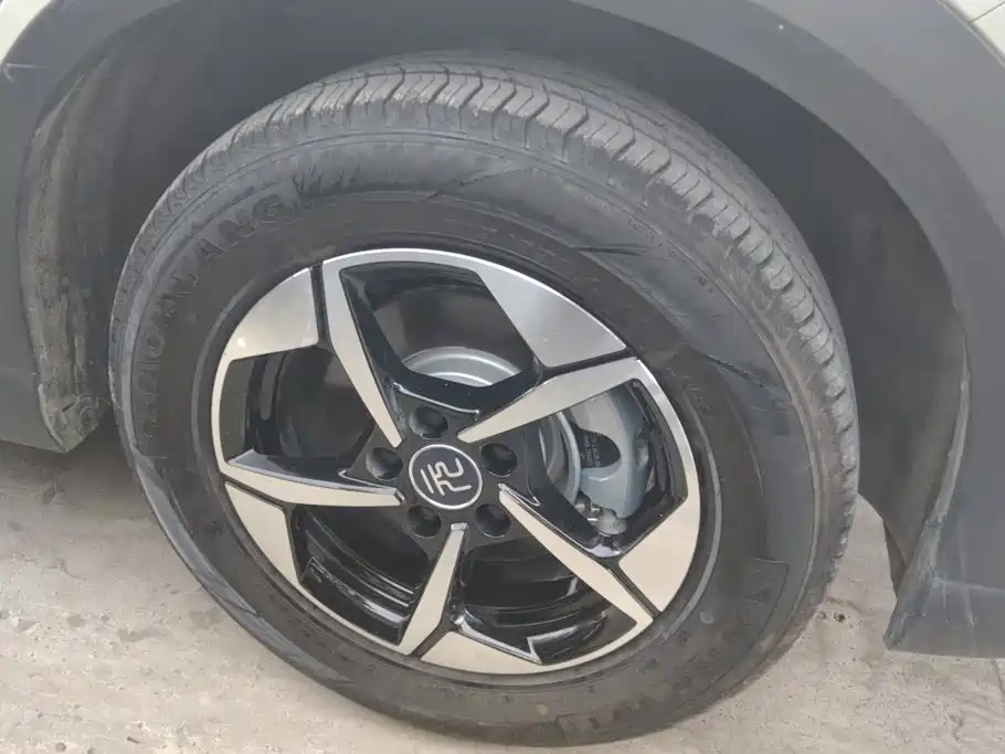 BYD Yuan UP 2026 2025 Model 301KM Navigator