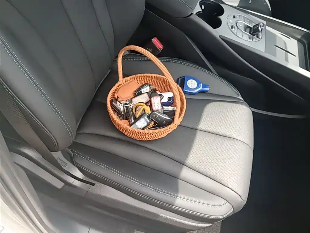 BYD Seal 06 New Energy 2025 DM-i Smart Drive 80KM Luxury фото 25
