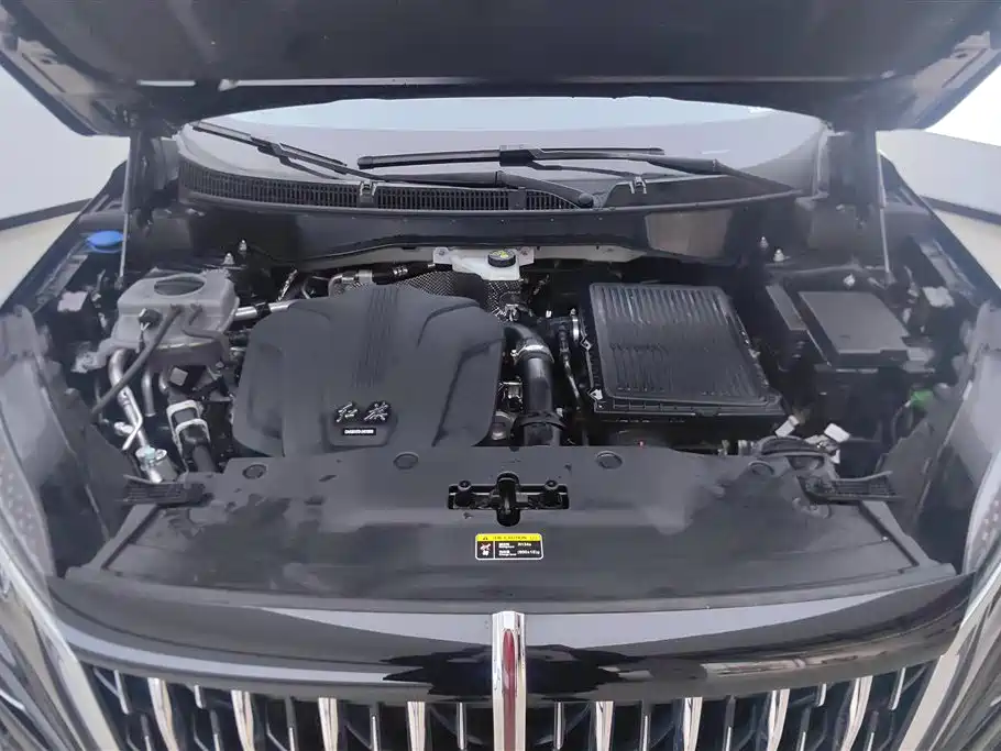 Hongqi HS3 PHEV 2024 PHEV 115km Power Edition фото 10